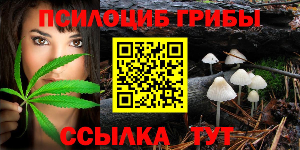 Галлюциногенные грибы Cubensis Первоуральск