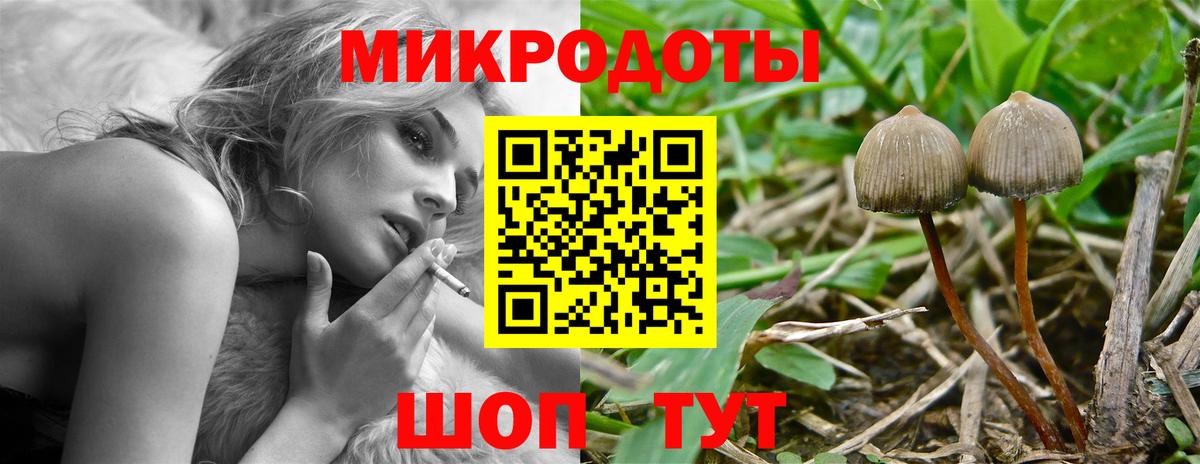Галлюциногенные грибы Magic Shrooms  купить наркотики сайты  Первоуральск  Вход с VPN 